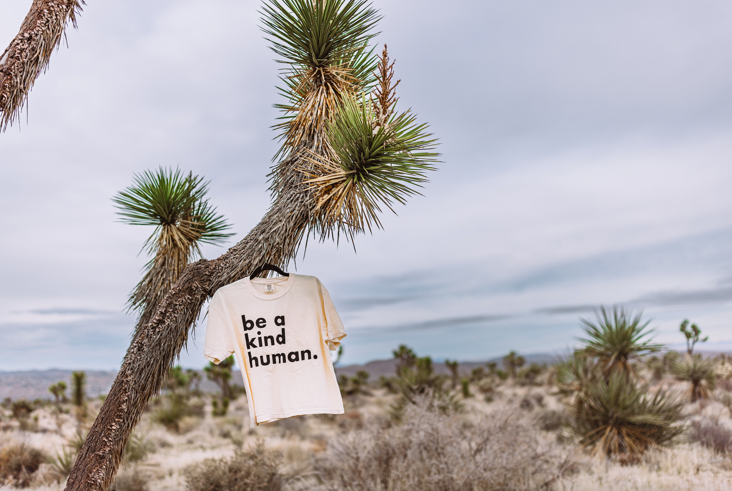 Be a Kind Human Crop Tee