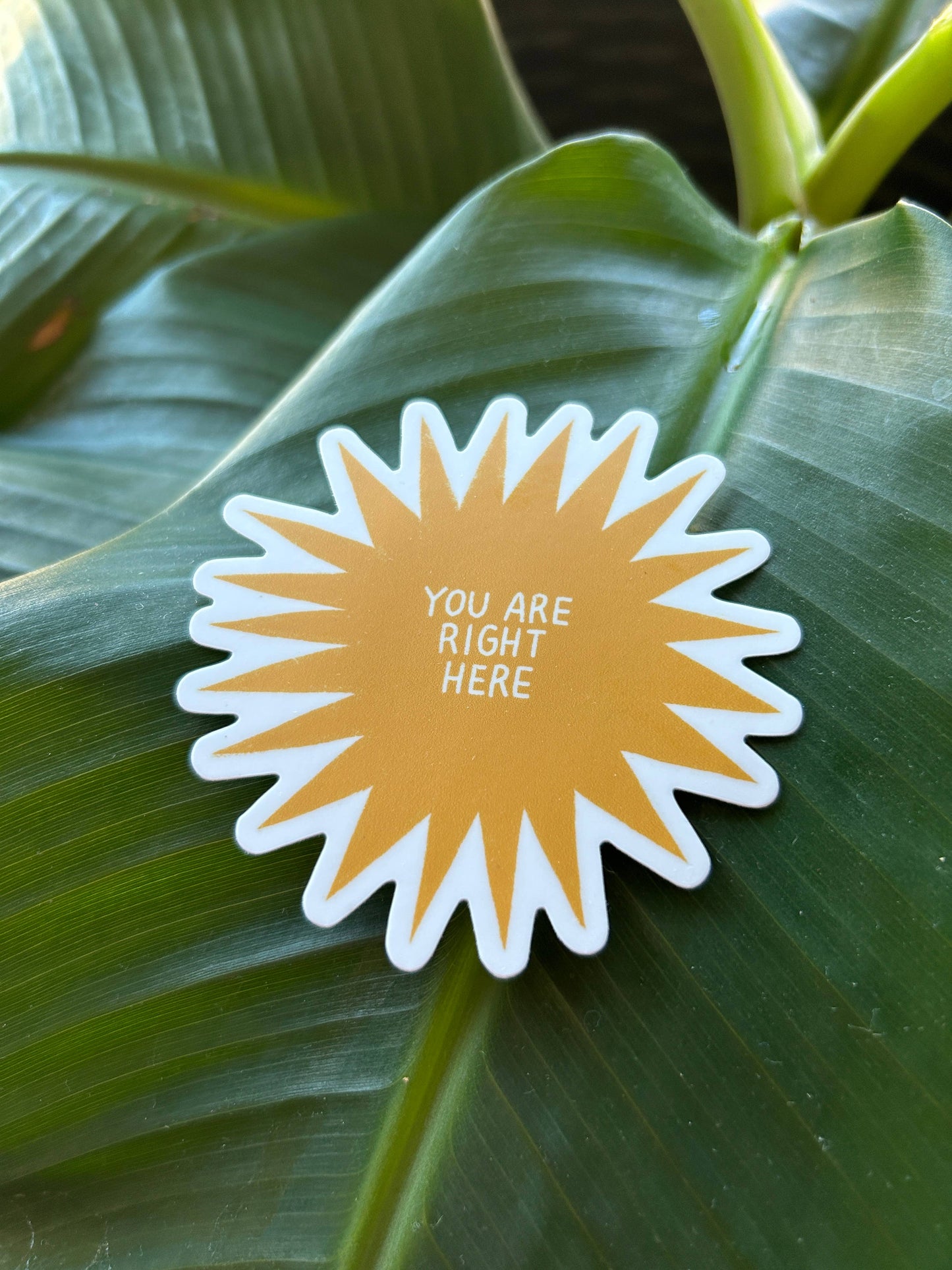 Rare Press - You Are Right Here Vinyl Sticker
