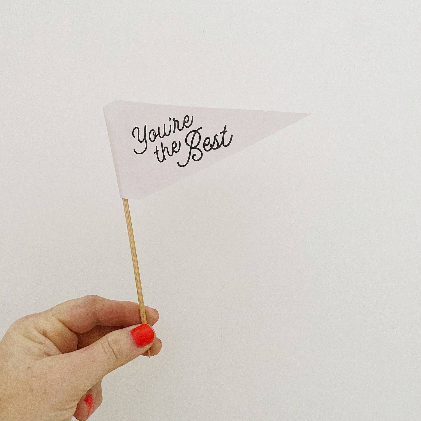 You're the Best Pennant Flag