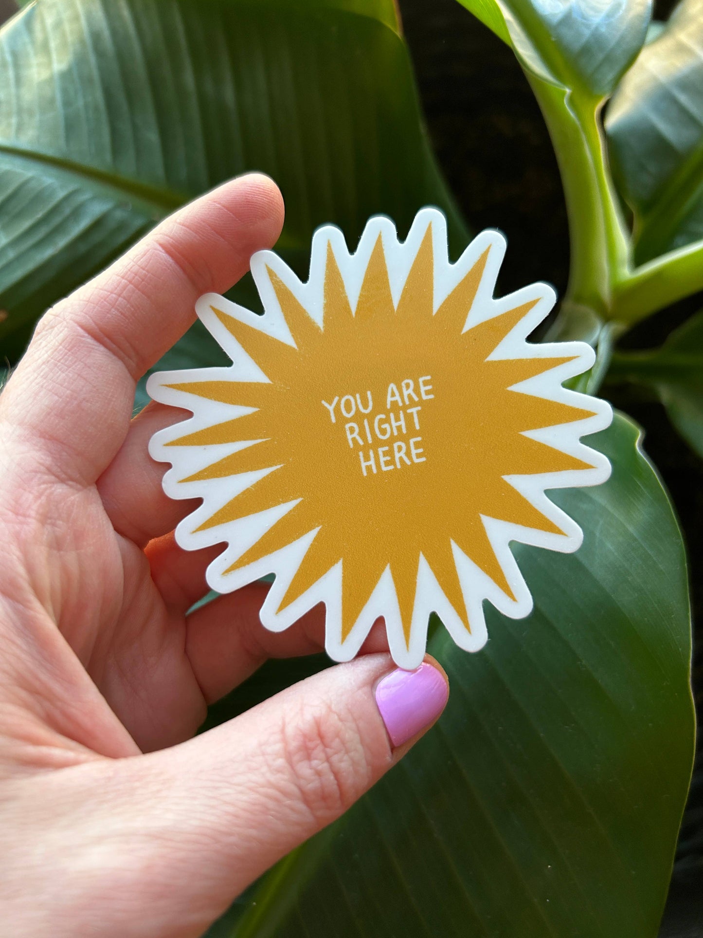 Rare Press - You Are Right Here Vinyl Sticker
