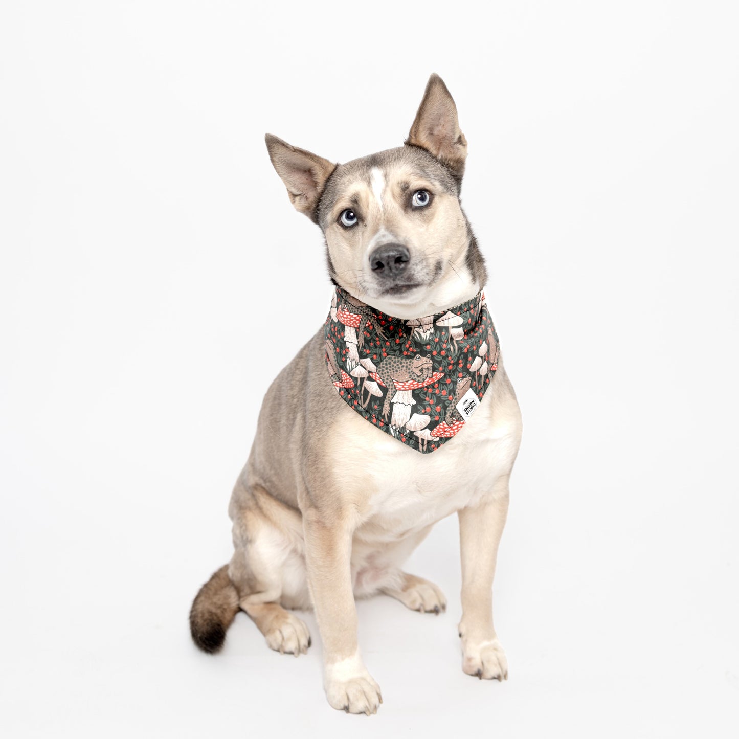 Pet Bandana | Swoon Studio + Co