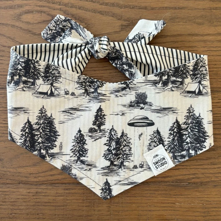 Pet Bandana | Swoon Studio + Co