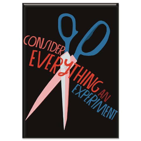 Consider Everything an Experiment Magnet | Lisa Congden