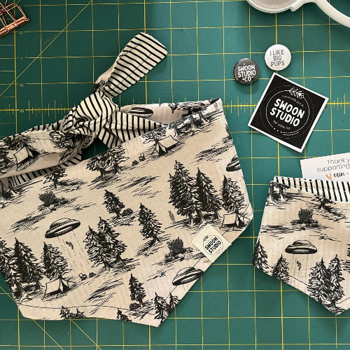 Pet Bandana | Swoon Studio + Co