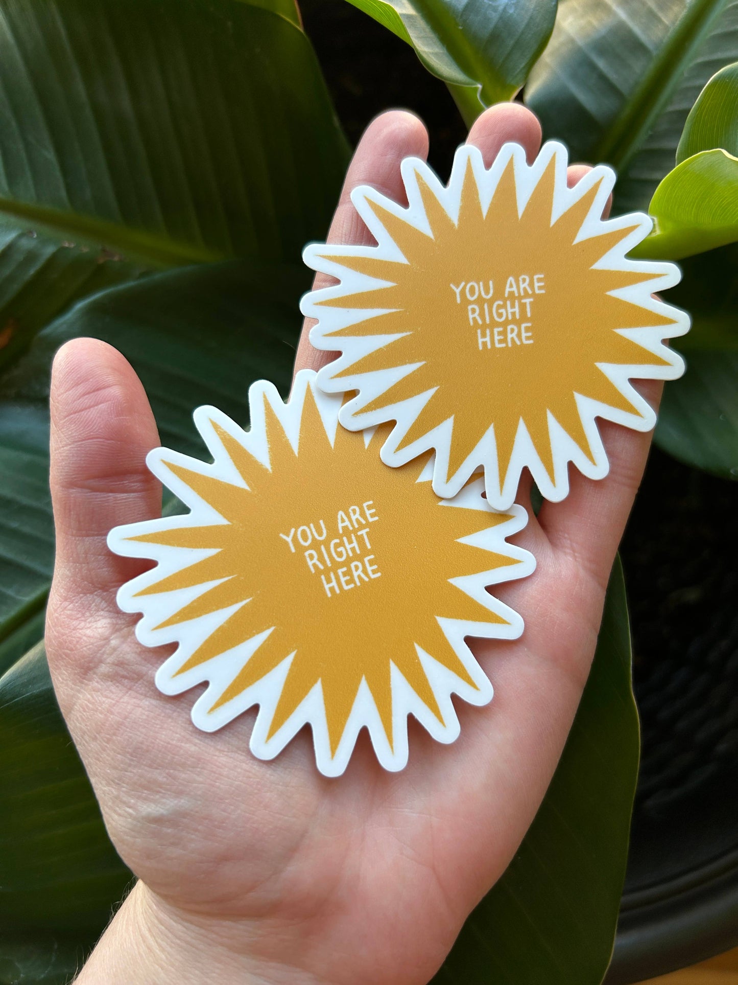 Rare Press - You Are Right Here Vinyl Sticker