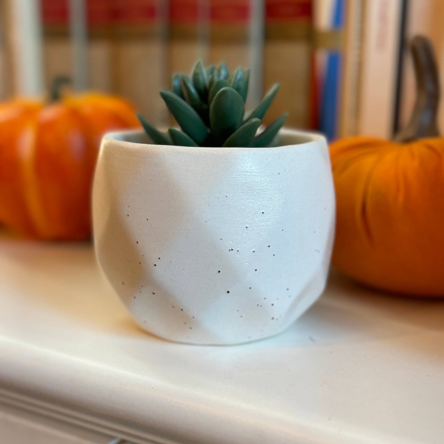 Ceramic Plant Pot - White