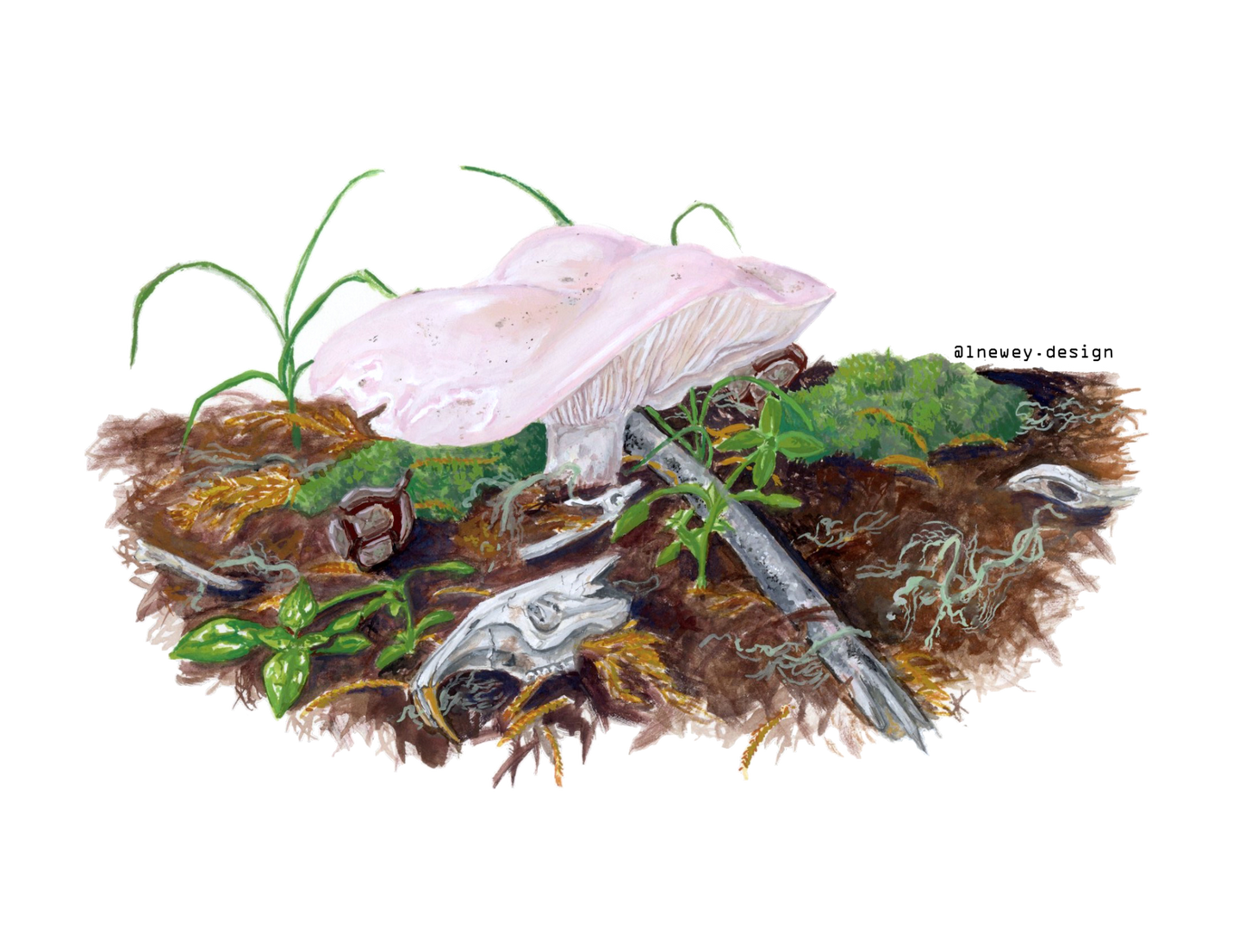 683e16a374d7c71cee6e3444_newey-microhabitat_1752185797895.png