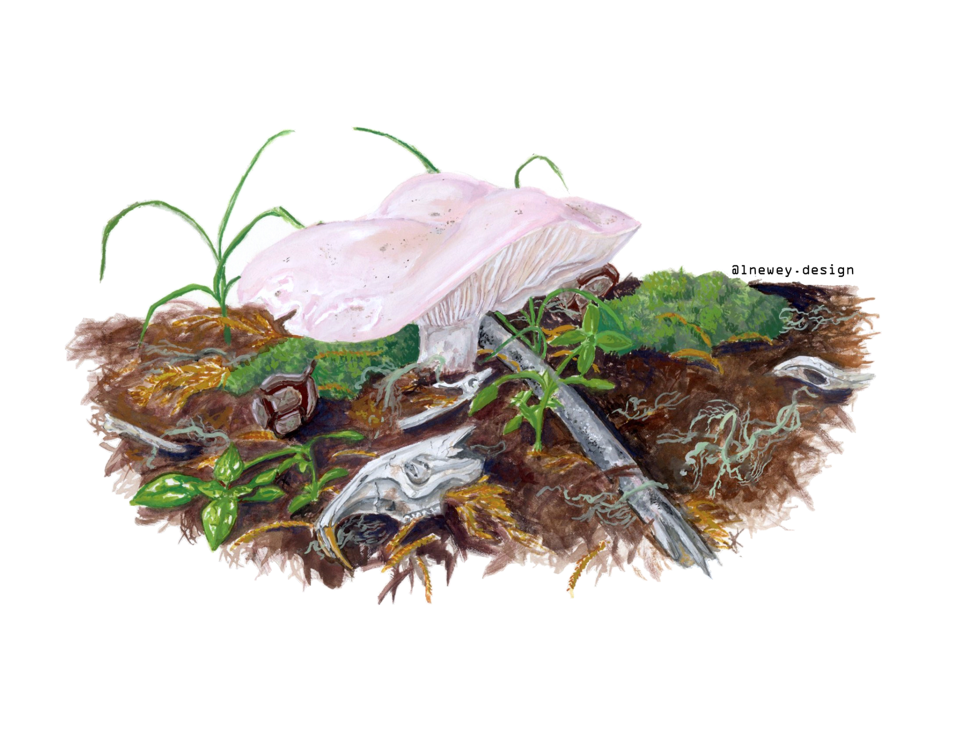 683e16a374d7c71cee6e3444_newey-microhabitat_1752185797895.png