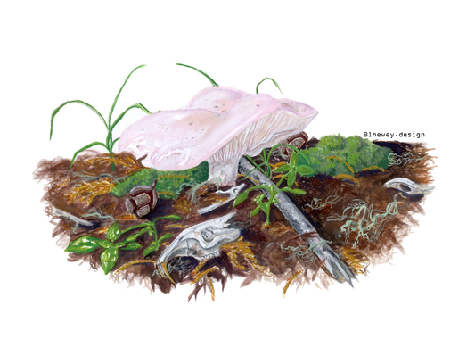 683e16a374d7c71cee6e3444_newey-microhabitat_1752185797895.png