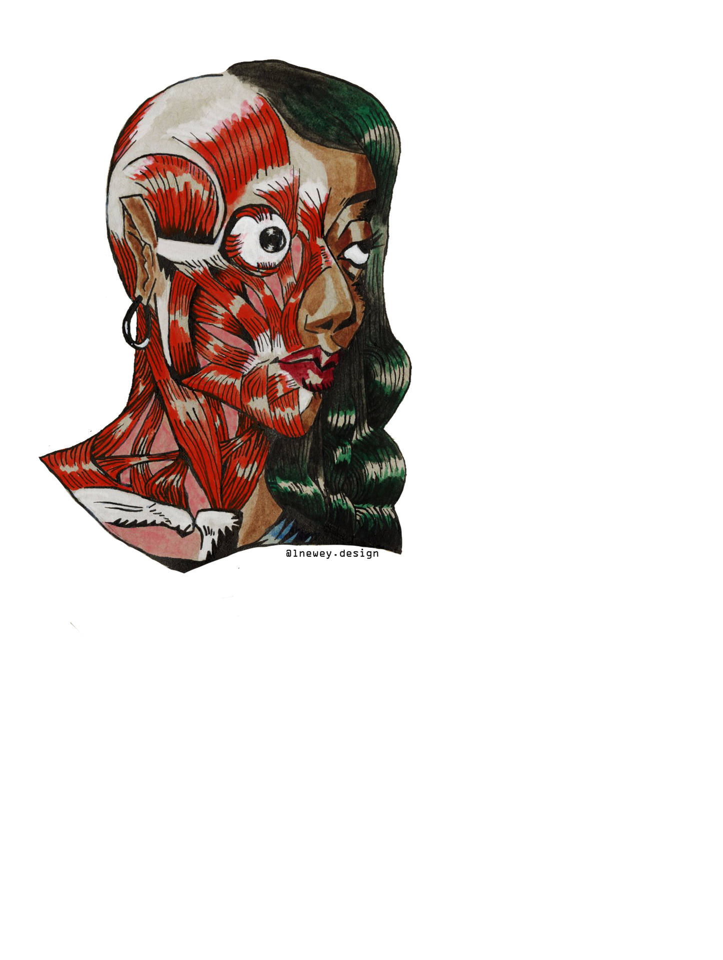 683e16a374d7c71cee6e3444_newey-specter-sticker_1752185974143.png