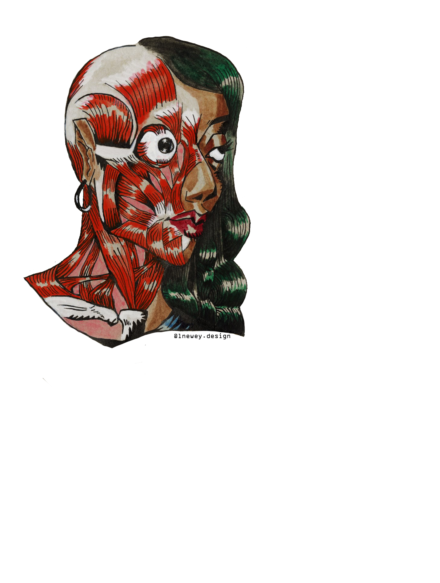 683e16a374d7c71cee6e3444_newey-specter-sticker_1752185974143.png