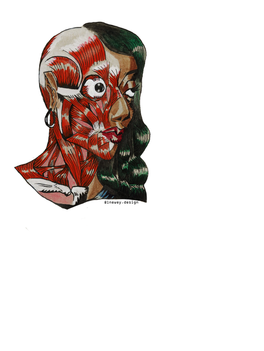 683e16a374d7c71cee6e3444_newey-specter-sticker_1752185974143.png