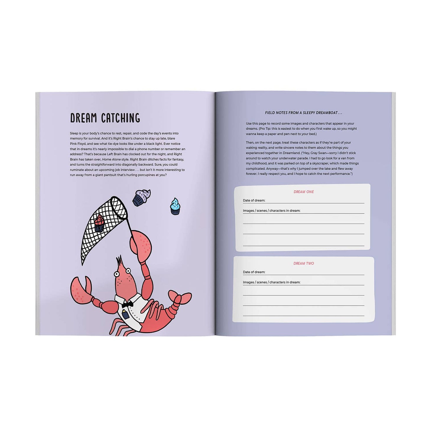 Knock Knock - Great Idea! Activity Book & Journal